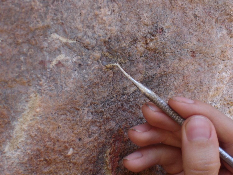 Preventive Conservation - Serra da Capivara