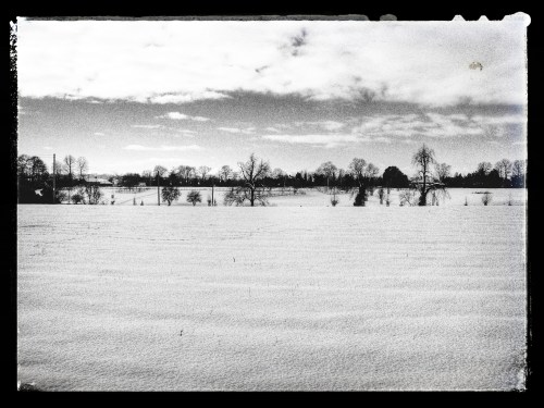 Tudor Hall School Main Drive viewed from Wykham Park Farm (Photo credit: @johnfield1) Tudor Hall School Main Drive viewed from Wykham Park Farm (Photo credit: @johnfield1)