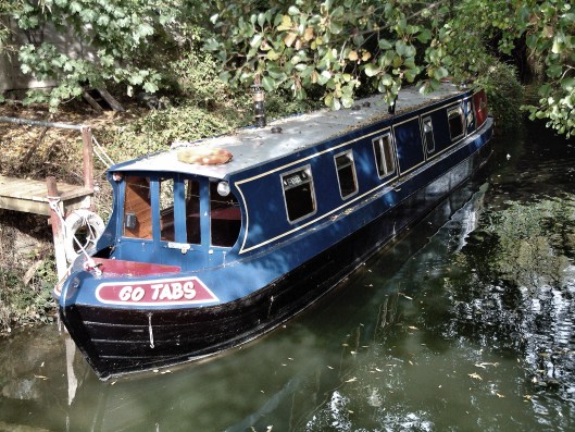 Go tabs, Weirs Mill Stream, Oxford (Photo credit: John Field)